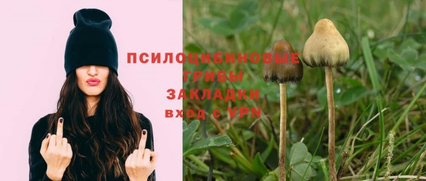 mix Алексин