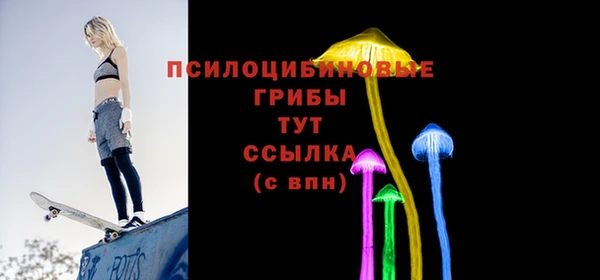 spice Абаза