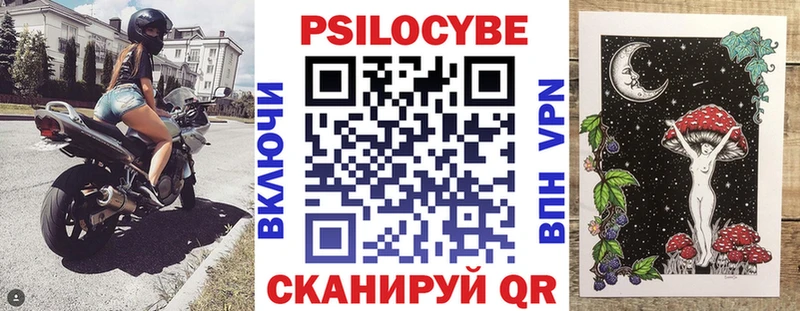 блэк спрут вход  наркотики  Карабаш  Галлюциногенные грибы MAGIC MUSHROOMS 